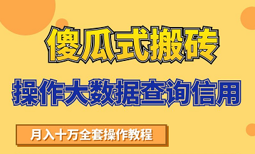 搬砖操作大数据查询信用项目赚钱教程，祝你快速月入6万-云途资源库