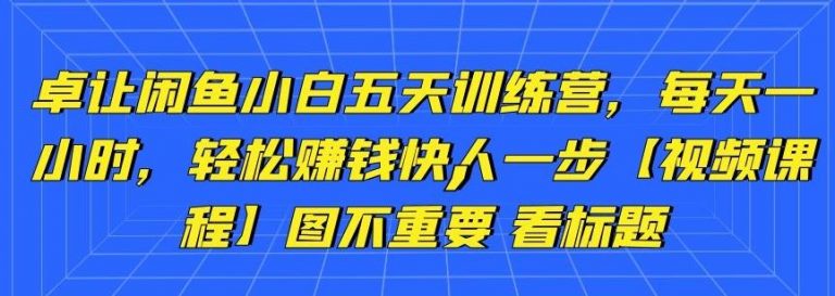 卓让闲鱼小白五天训练营，每天一小时，轻松赚钱快人一步-云途资源库