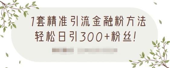 1套精准引流金融粉方法，轻松日引300+粉丝-云途资源库