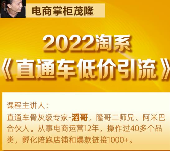 茂隆2022直通车低价引流玩法，教大家如何低投入高回报的直通车玩法-云途资源库