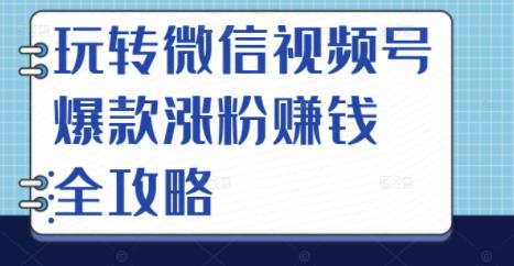 玩转微信视频号爆款涨粉赚钱全攻略，让你快速抓住流量风口，收获红利财富-云途资源库