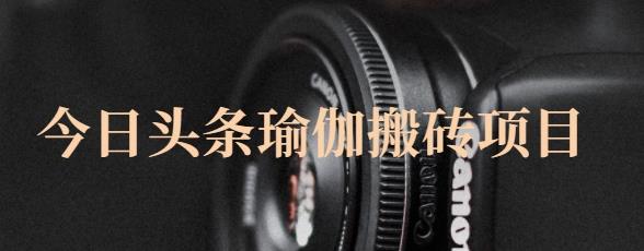 猎人社区·今日头条瑜伽搬砖项目，单号一天几十收入，可以批量操作！-云途资源库