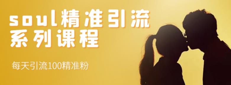 soul精准引流系列课程，每天引流100精准粉-云途资源库