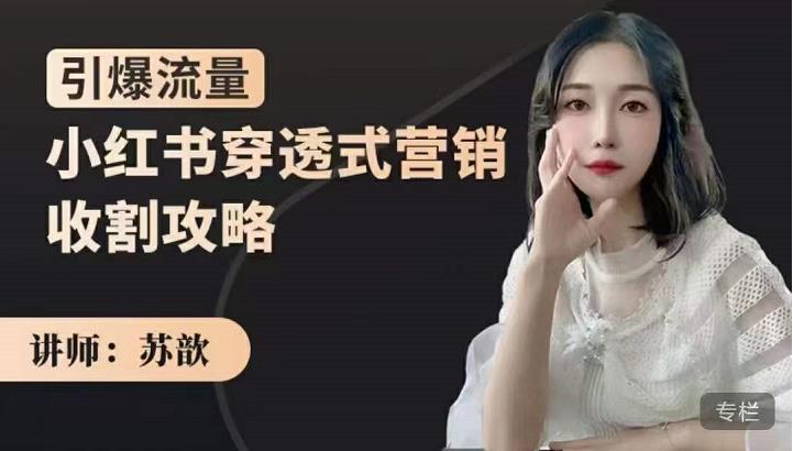 苏歆：小红书穿透式营销收割攻略，引爆流量，助你玩转小红书-云途资源库