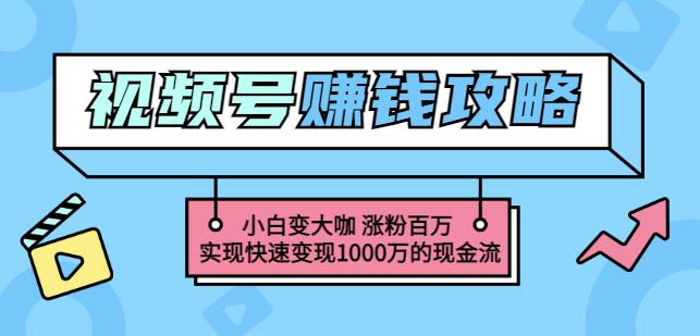 玩转微信视频号赚钱：小白变大咖涨粉百万实现快速变现1000万的现金流-云途资源库