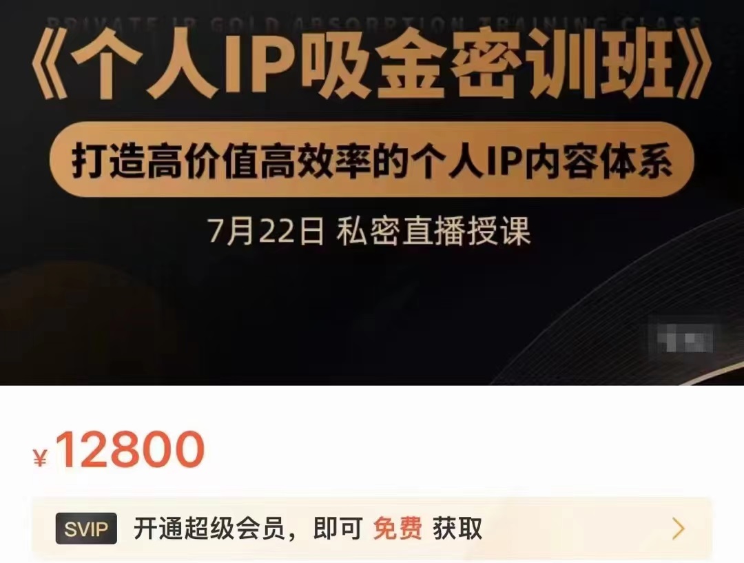 个人IP吸金密训班，打造高价值高效率的个人IP内容体系（价值12800元）-云途资源库