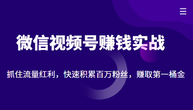 微信视频号赚钱实战：抓住流量红利，快速积累百万粉丝，赚取你的第一桶金-云途资源库