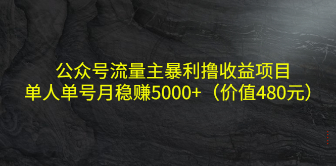 公众号流量主暴利撸收益项目，单人单号月稳赚5000+（价值480元）-云途资源库