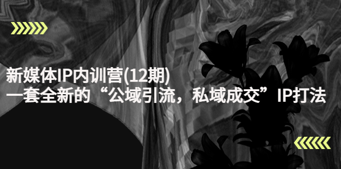 新媒体IP内训营(12期)，一套全新的“公域引流，私域成交”IP打法，直接带走-云途资源库