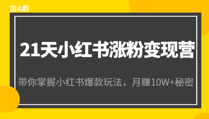 21天小红书涨粉变现营（第4期）：带你掌握小红书爆款玩法，月赚10W+秘密-云途资源库