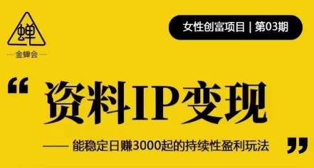 资料IP变现，能稳定日赚3000起的持续性盈利玩法-云途资源库