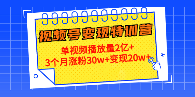 21天视频号变现特训营：单视频播放量2亿+3个月涨粉30w+变现20w+（第14期）-云途资源库