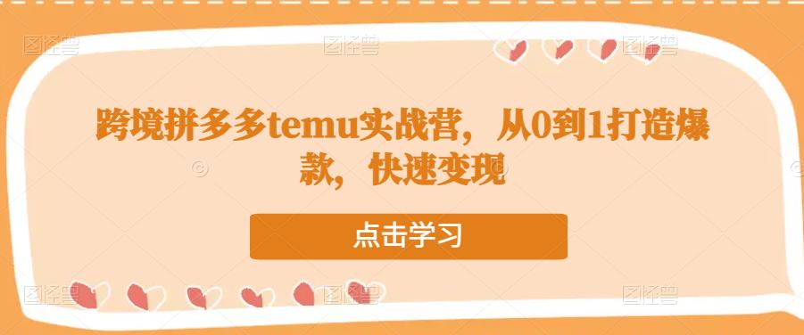 跨境拼多多temu实战营，从0到1打造爆款，快速变现-云途资源库