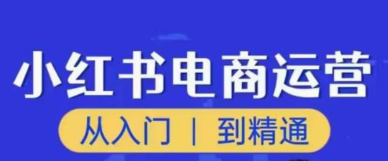 顽石小红书电商高阶运营课程，从入门到精通，玩法流程持续更新-云途资源库