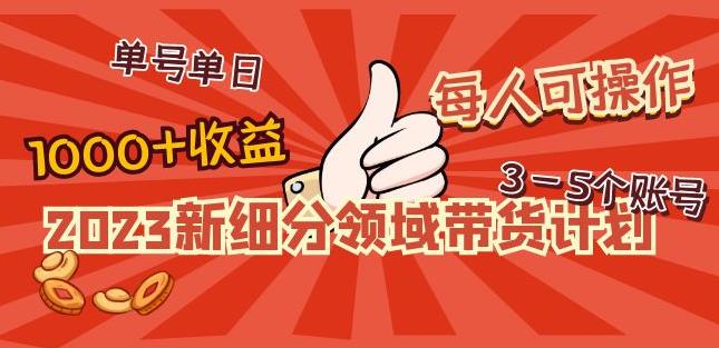 2023新细分领域带货计划：单号单日1000+收益不难，每人可操作3-5个账号-云途资源库