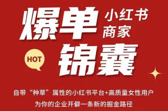 无畏·小红书商家爆单锦囊，掌握小红书各大规则，快速精准抢占行业和市场-云途资源库
