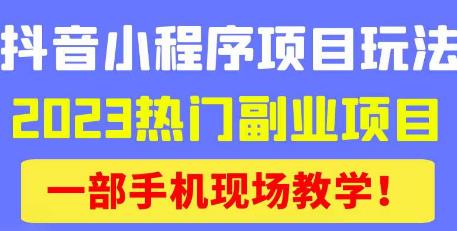 抖音小程序9.0新技巧，2023热门副业项目，动动手指轻松变现-云途资源库