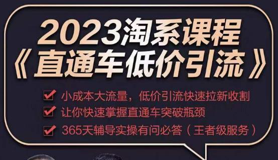 2023直通车低价引流玩法课程，小成本大流量，低价引流快速拉新收割，让你快速掌握直通车突破瓶颈-云途资源库
