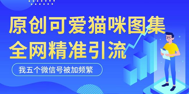 黑科技纯原创可爱猫咪图片，全网精准引流，实操5个VX号被加频繁-云途资源库