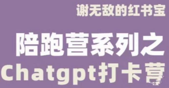 谢无敌ChatGPT打卡营，教你更好地使用ChatGPT来提高工作效率-云途资源库