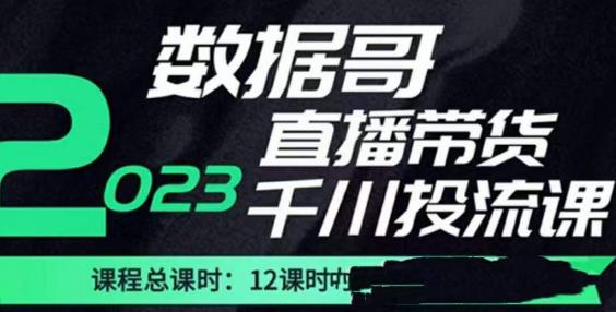 数据哥2023直播电商巨量千川付费投流实操课，快速掌握直播带货运营投放策略-云途资源库