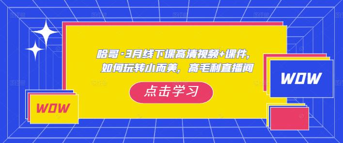 哈哥·3月线下实操课高清视频+课件，如何玩转小而美，高毛利直播间-云途资源库