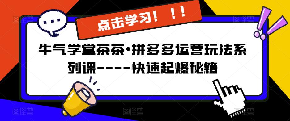 牛气学堂茶茶•拼多多运营玩法系列课—-快速起爆秘籍【更新】-云途资源库