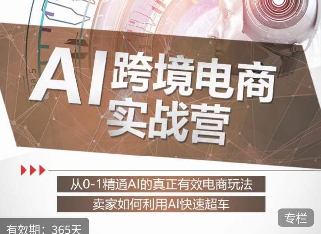 白龙老师·AI跨境电商实战营：从0-1精通Al的真正有效电商玩法，卖家如何利用Al快速超车-云途资源库