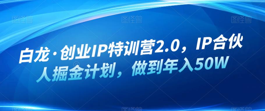 白龙·创业IP特训营2.0,IP合伙人掘金计划,做到年入50W-云途资源库