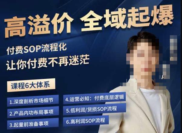逸风-拼多多高溢价全域起爆，6大课程体系，付费玩法全套实操-云途资源库