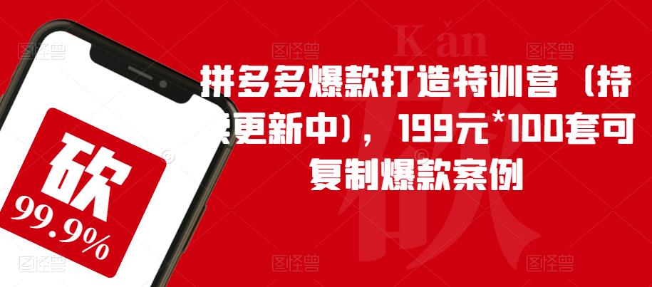 拼多多爆款打造特训营（持续更新中)，199元*100套可复制爆款案例-云途资源库