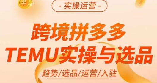 伍跃·跨境拼多多TEMU实操与选品，​趋势/选品/运营/入住（27节完整）-云途资源库