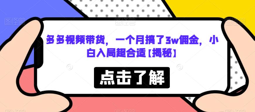 多多视频带货，一个月搞了3w佣金，小白入局超合适【揭秘】-云途资源库