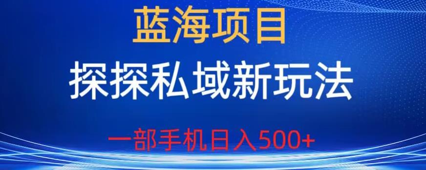 蓝海项目，探探私域新玩法，一部手机日入500+很轻松【揭秘】-云途资源库