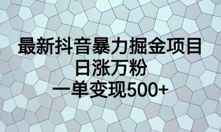 最新抖音暴力掘金项目，日涨万粉，一单变现500+【揭秘】-云途资源库