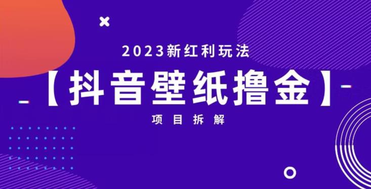抖音壁纸小程序创作者撸金项目，2023新红利玩法【项目拆解】-云途资源库