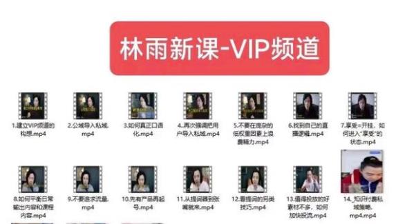 林雨新课VIP频道，玩赚私域/朋友圈/社群-云途资源库