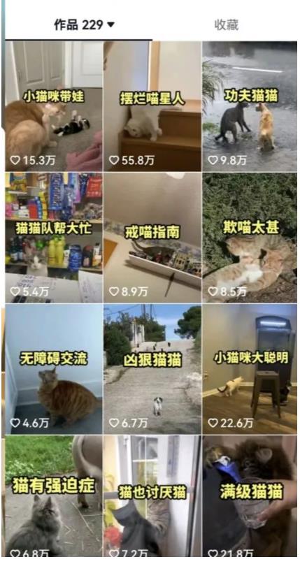 拆解：抖音盘点类中视频变现副业项目，视频版一条龙大解析分享给你-云途资源库