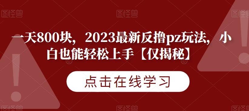 一天800块,2023最新反撸pz玩法,小白也能轻松上手【仅揭秘】-云途资源库