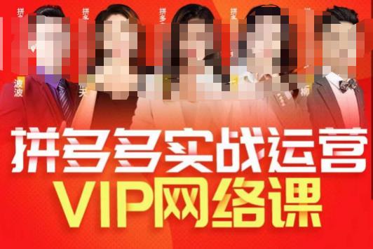 推易拼多多VIP全套直播课程，拼多多店铺实操玩法+实战玩法选款内功+直通车高阶等-云途资源库