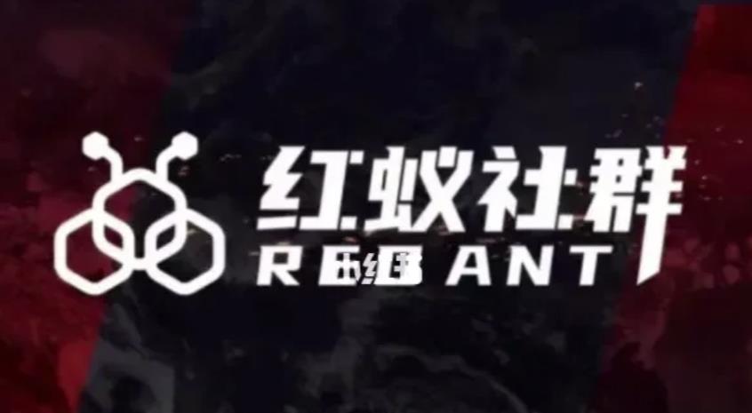 社群运营：红蚁社群【48节落地系统课程+2000人高端社群】-云途资源库