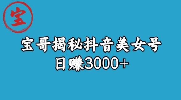 宝哥揭秘抖音美女号玩法，日赚3000+【揭秘】-云途资源库