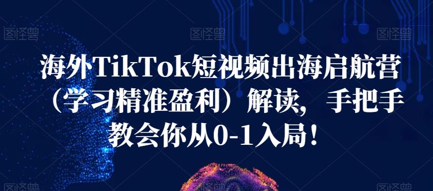 海外TikTok短视频出海启航营（学习精准盈利）解读，手把手教会你从0-1入局！-云途资源库