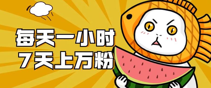 暴力涨粉项目：每天一小时，七天上万粉【揭秘】-云途资源库