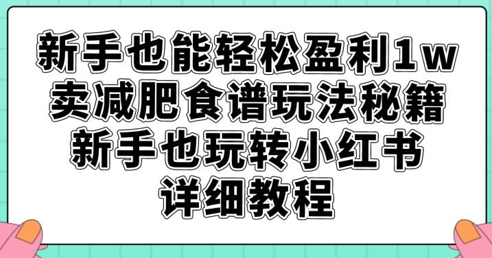 新手也能轻松盈利1w，卖减肥食谱玩法秘籍，新手也玩转小红书详细教程【揭秘】-云途资源库