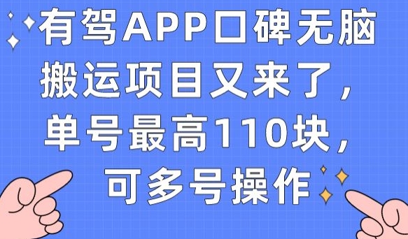 有驾APP口碑无脑搬运项目又来了，单号最高110块，可多号操作-云途资源库