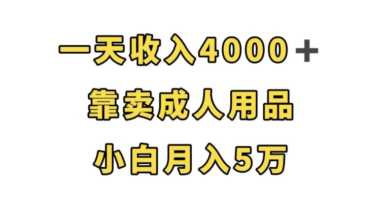 一天收入4000+，靠卖成人用品，小白轻松月入5万【揭秘】-云途资源库
