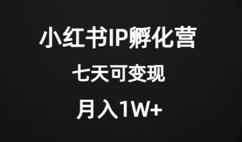 价值2000+的小红书IP孵化营项目，超级大蓝海，七天即可开始变现，稳定月入1W+-云途资源库