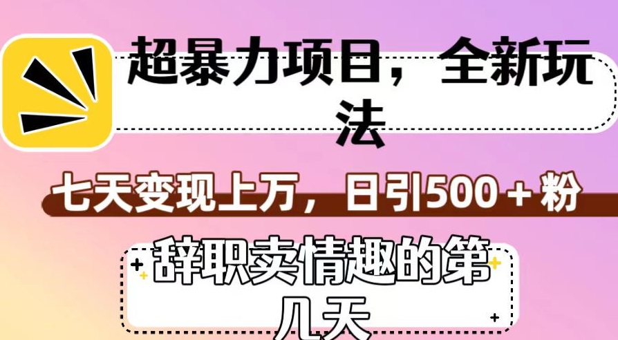 超暴利项目，全新玩法（辞职卖情趣的第几天），七天变现上万，日引500+粉【揭秘】-云途资源库
