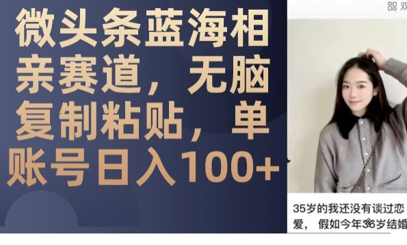 微头条蓝海相亲赛道，无脑复制粘贴，单账号日入100+-云途资源库